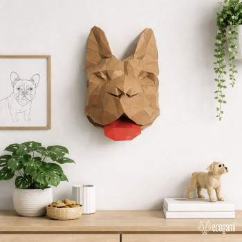 French bulldog French bulldog